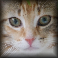 Elly