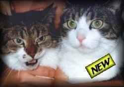 Lucy und Otto